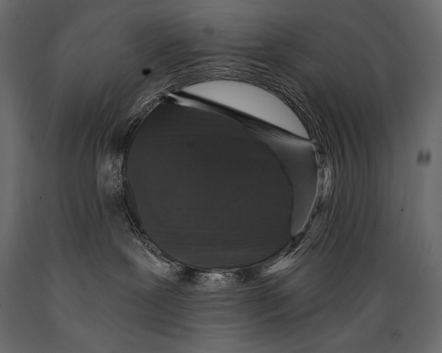 X0000088850239200706291502