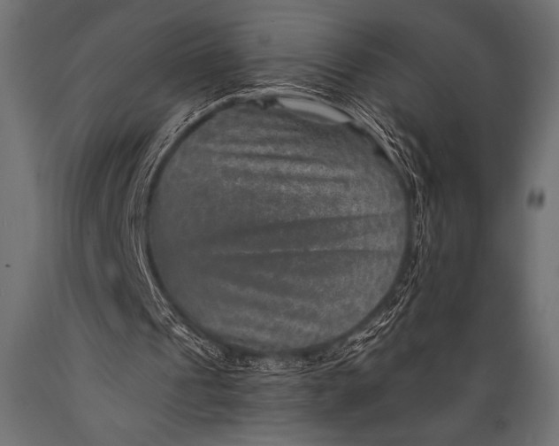 X0000088850241200706291501