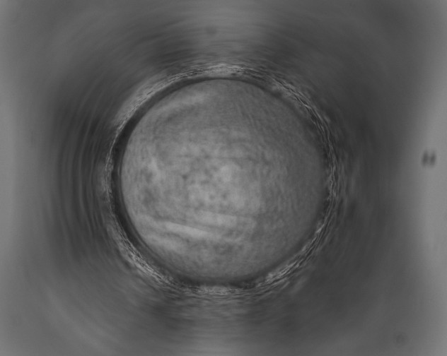 X0000088850242200706291501