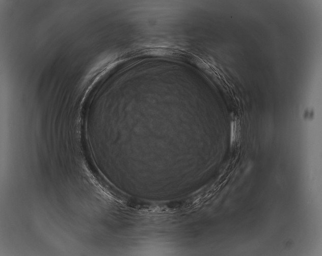 X0000088850243200706291501