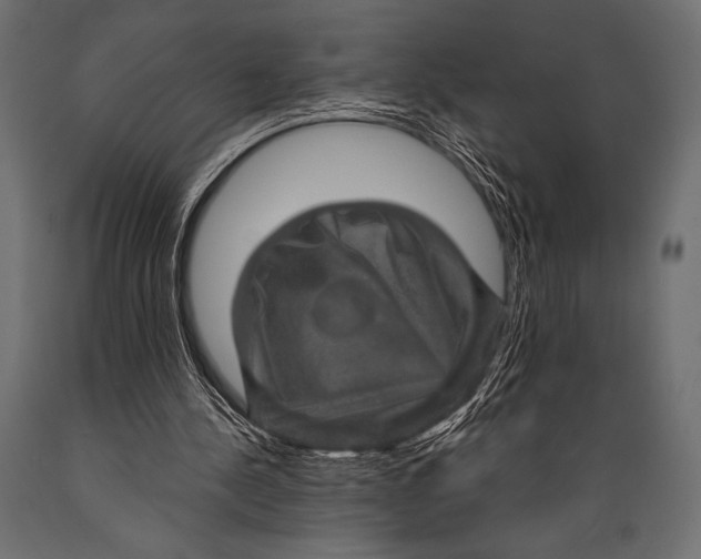 X0000088850244200706291501