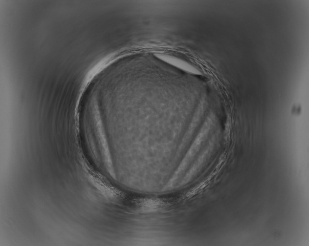 X0000088850246200706291501