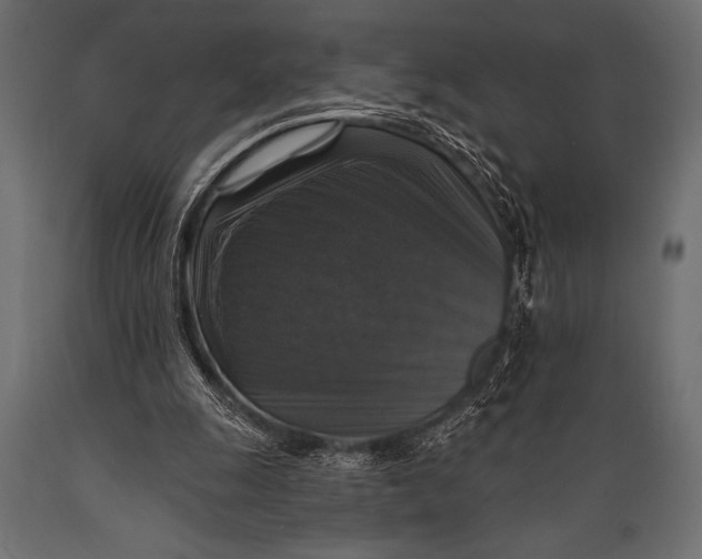 X0000088850247200706291501