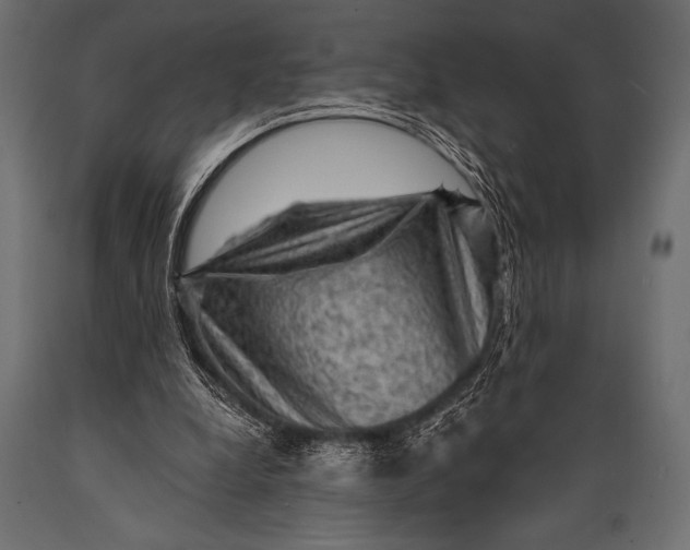 X0000088850248200706291501