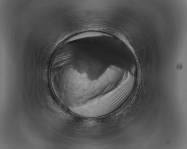 X0000088850249200706291501