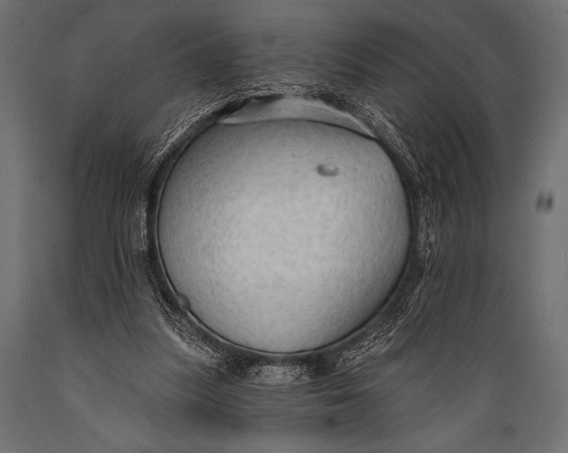 X0000088850251200706291502