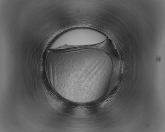 X0000088850252200706291502