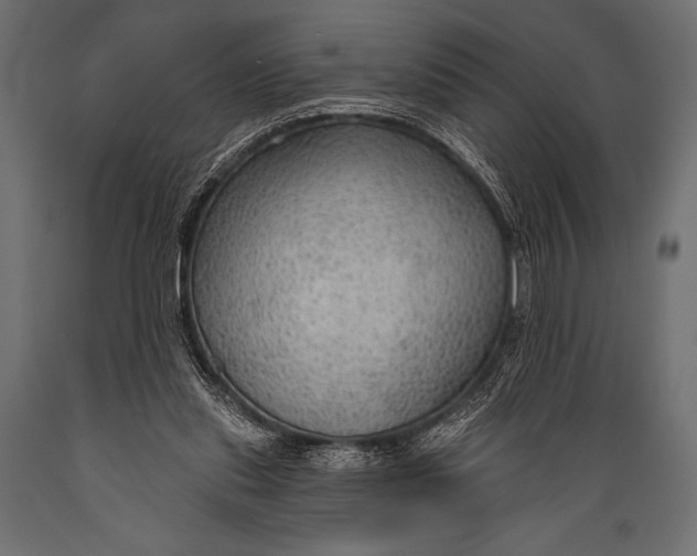 X0000088850253200706291502