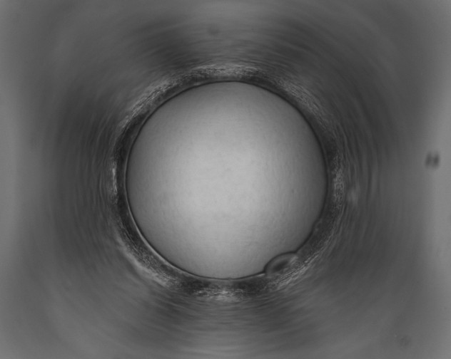 X0000088850254200706291502