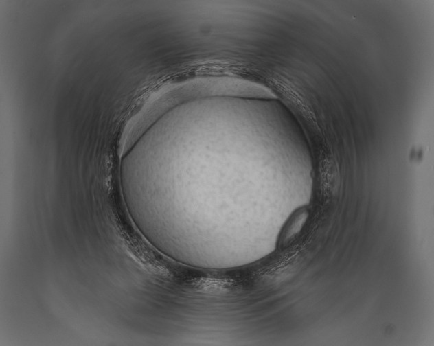 X0000088850255200706291502