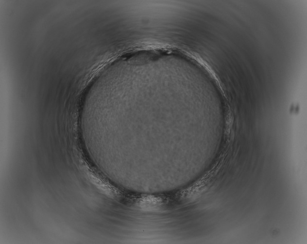 X0000088850257200706291502