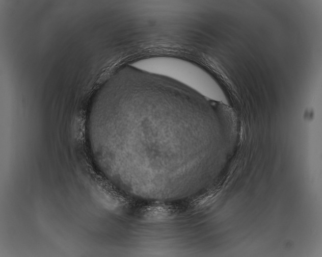 X0000088850259200706291502