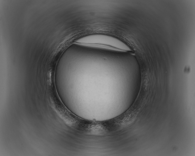 X0000088850262200706291502