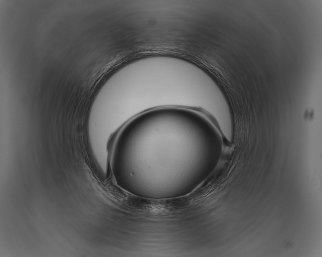 X0000088850264200706291502