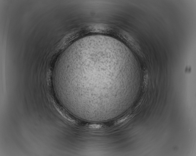 X0000088850265200706291502