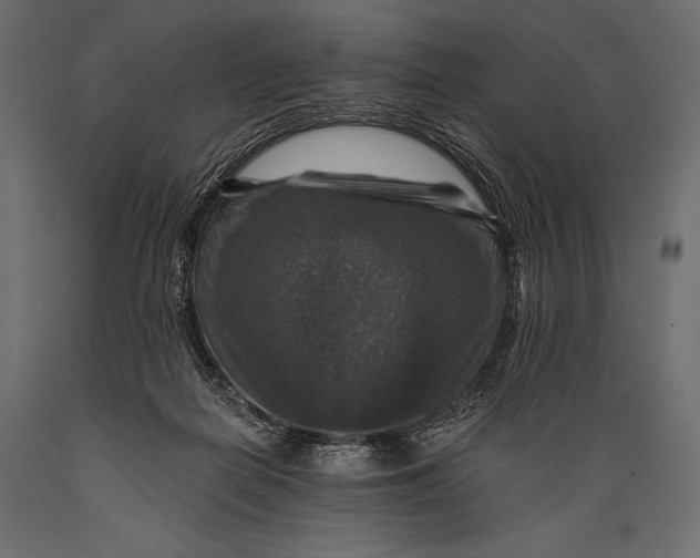 X0000088850266200706291502