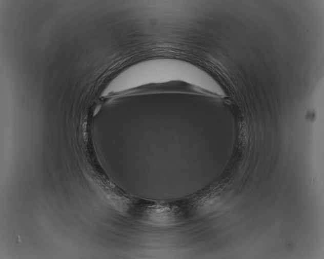 X0000088850267200706291502