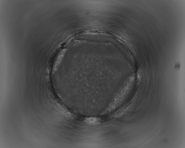 X0000088850269200706291502