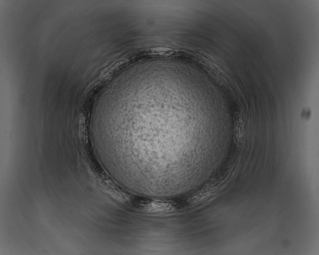 X0000088850270200706291502