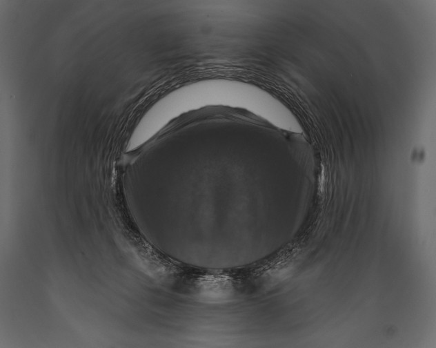 X0000088850271200706291502