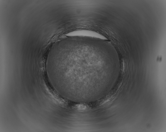 X0000088850272200706291502