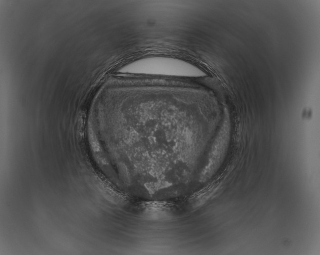 X0000088850273200706291502