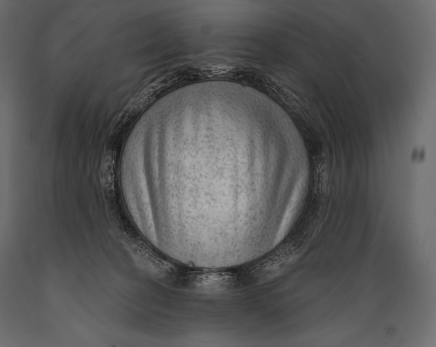 X0000088850274200706291502