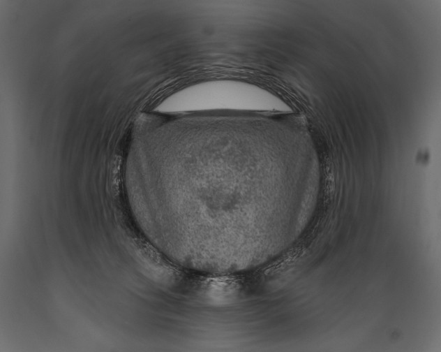 X0000088850275200706291502