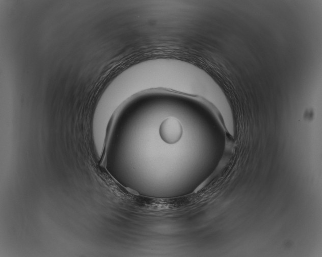 X0000088850276200706291502