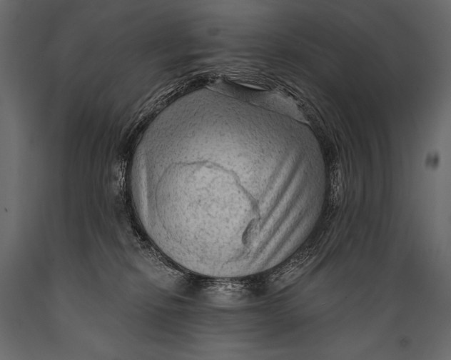 X0000088850278200706291502