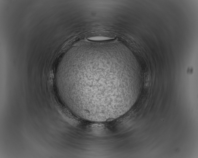 X0000088850279200706291502