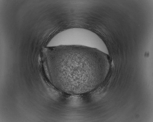 X0000088850280200706291502