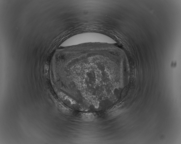 X0000088850281200706291502