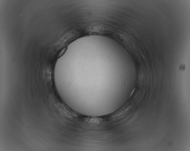 X0000088850282200706291502