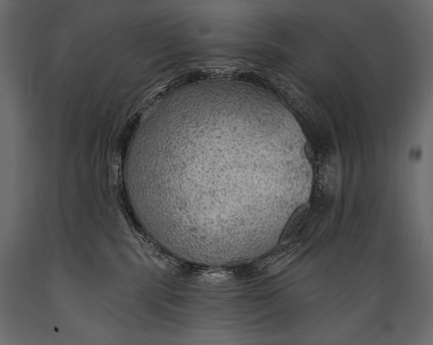 X0000088850283200706291502