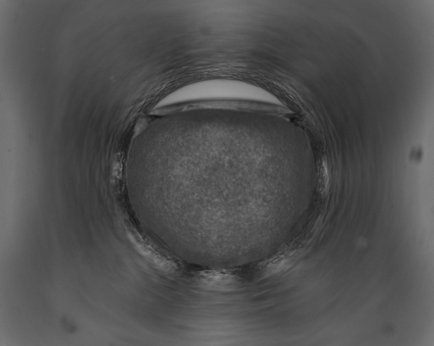 X0000088850284200706291502