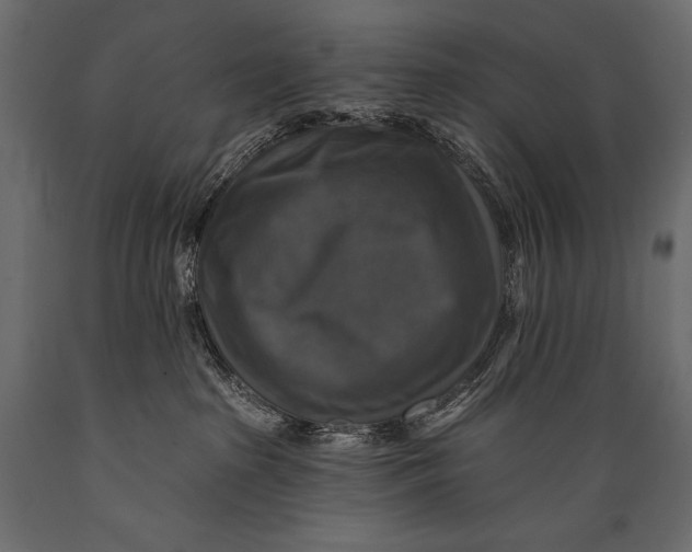 X0000088850285200706291502