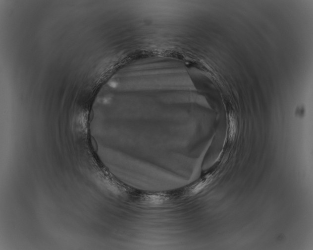 X0000088850286200706291502