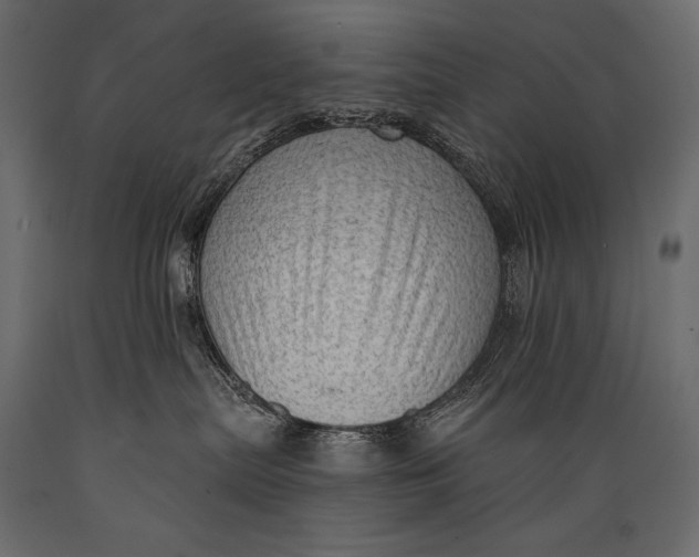 X0000088850287200706291502