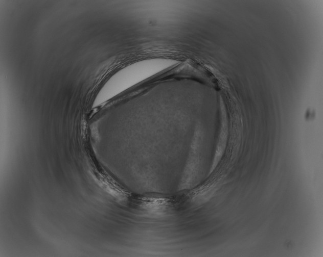 X0000088850288200706291502