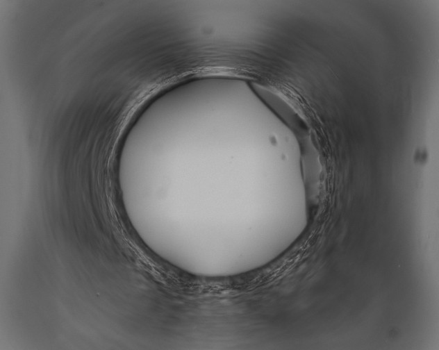 X0000088850289200706291501