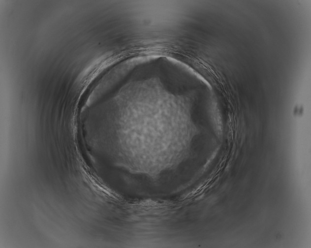 X0000088850290200706291501