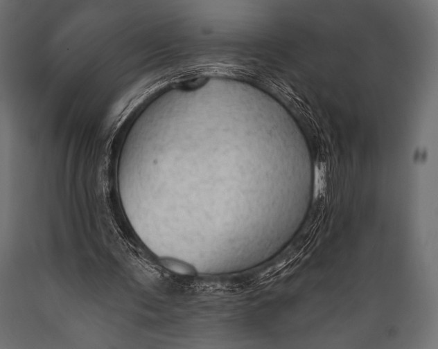 X0000088850291200706291501