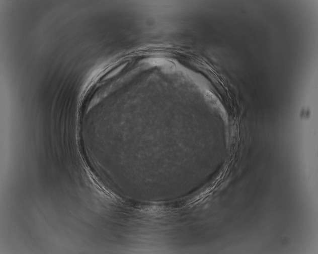 X0000088850293200706291501