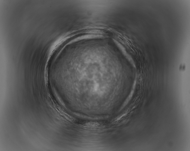 X0000088850294200706291501