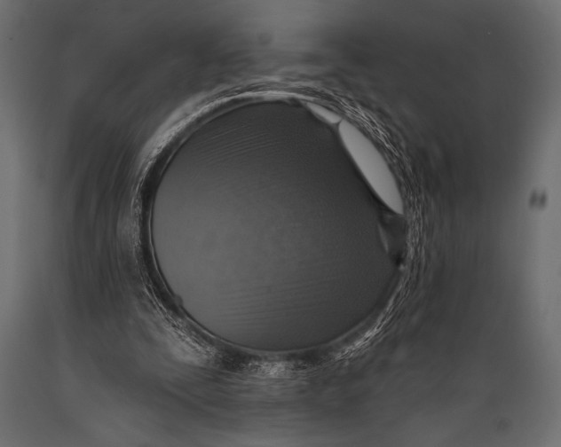 X0000088850295200706291501