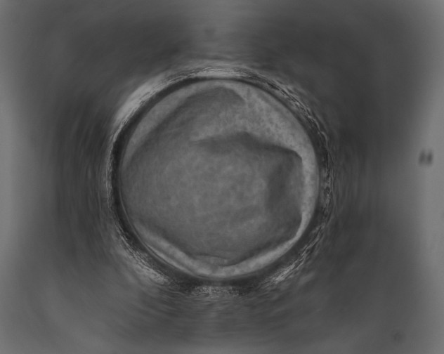 X0000088850296200706291501