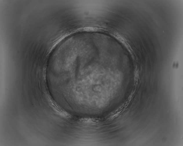 X0000088850297200706291501