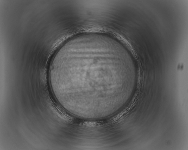 X0000088850298200706291501