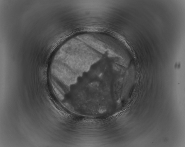 X0000088850299200706291501